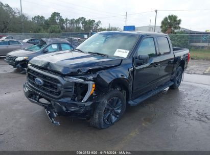 Lot #3047411823 2023 FORD F-150 XLT