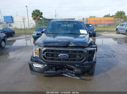 Lot #3047411823 2023 FORD F-150 XLT