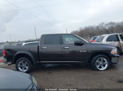 Lot #3032321567 2010 DODGE RAM 1500 SLT/SPORT/TRX