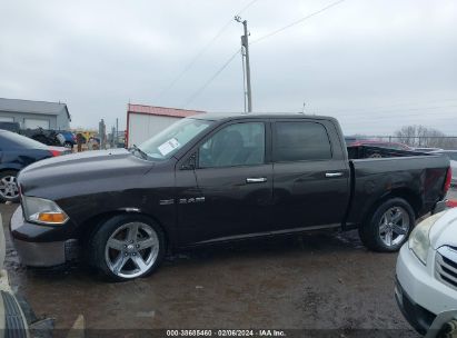 Lot #3032321567 2010 DODGE RAM 1500 SLT/SPORT/TRX