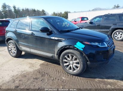 Lot #2992819488 2019 LAND ROVER RANGE ROVER EVOQUE SE/SE PREMIUM