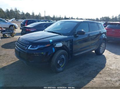 Lot #2992819488 2019 LAND ROVER RANGE ROVER EVOQUE SE/SE PREMIUM