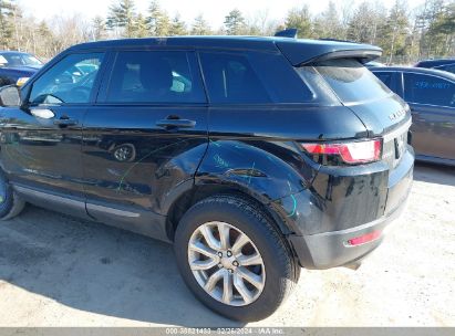 Lot #2992819488 2019 LAND ROVER RANGE ROVER EVOQUE SE/SE PREMIUM