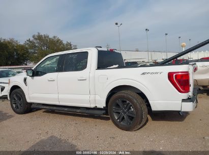 Lot #3052080453 2023 FORD F-150 XLT