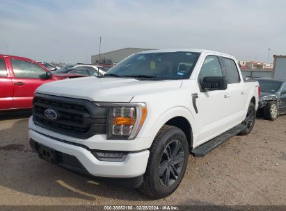 Lot #3052080453 2023 FORD F-150 XLT