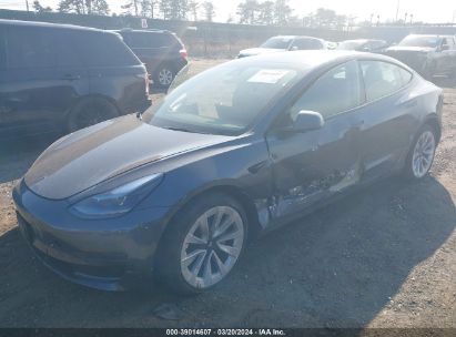 Lot #2997780400 2022 TESLA MODEL 3 REAR-WHEEL DRIVE