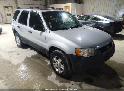 Lot #3035088250 2004 FORD ESCAPE XLT