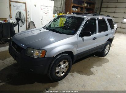 Lot #3035088250 2004 FORD ESCAPE XLT