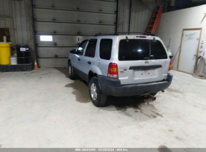 Lot #3035088250 2004 FORD ESCAPE XLT