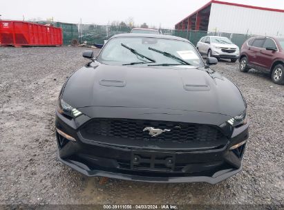 Lot #3021953799 2022 FORD MUSTANG ECOBOOST FASTBACK