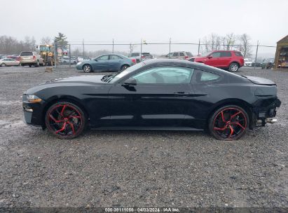 Lot #3021953799 2022 FORD MUSTANG ECOBOOST FASTBACK