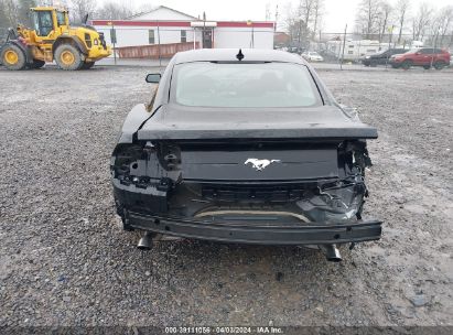 Lot #3021953799 2022 FORD MUSTANG ECOBOOST FASTBACK