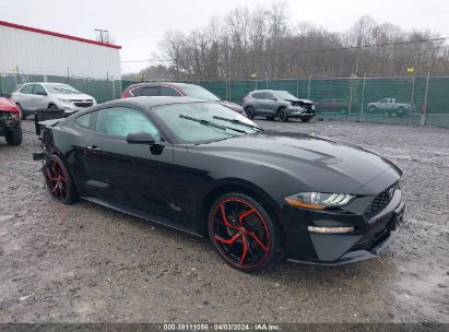 Lot #3021953799 2022 FORD MUSTANG ECOBOOST FASTBACK