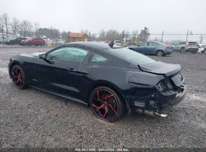 Lot #3021953799 2022 FORD MUSTANG ECOBOOST FASTBACK