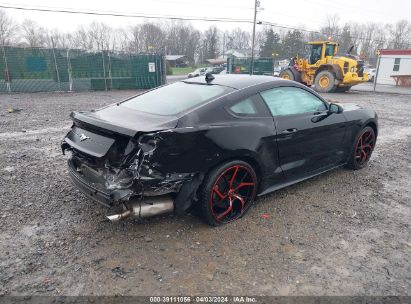 Lot #3021953799 2022 FORD MUSTANG ECOBOOST FASTBACK