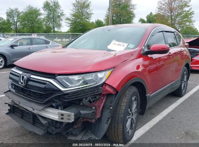 Lot #2992828121 2022 HONDA CR-V AWD EX-L