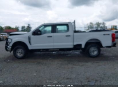 Lot #3021953774 2024 FORD F-250 XL