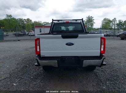 Lot #3021953774 2024 FORD F-250 XL