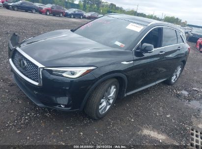 Lot #2997780181 2020 INFINITI QX50 ESSENTIAL AWD