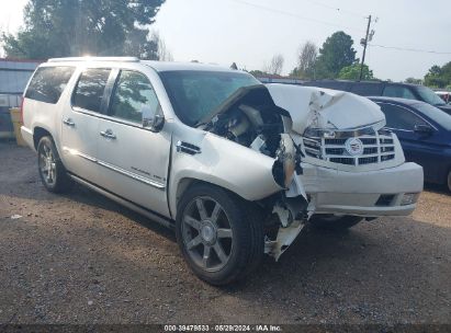 Lot #3056474451 2007 CADILLAC ESCALADE ESV STANDARD