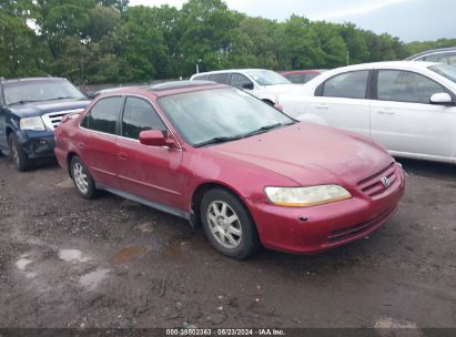 Lot #3052079602 2002 HONDA ACCORD 2.3 SE