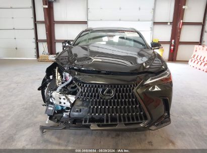 Lot #2992828069 2024 LEXUS NX 350H LUXURY