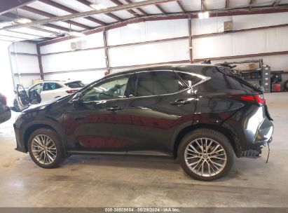 Lot #2992828069 2024 LEXUS NX 350H LUXURY