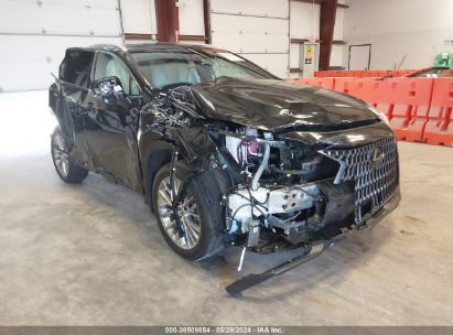 Lot #2992828069 2024 LEXUS NX 350H LUXURY