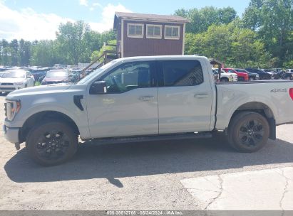 Lot #3035079034 2023 FORD F-150 XLT