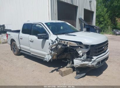 Lot #3035079034 2023 FORD F-150 XLT