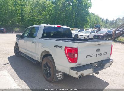 Lot #3035079034 2023 FORD F-150 XLT