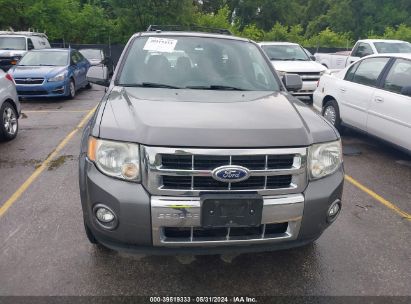 Lot #3035088453 2010 FORD ESCAPE LIMITED