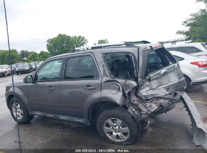 Lot #3035088453 2010 FORD ESCAPE LIMITED