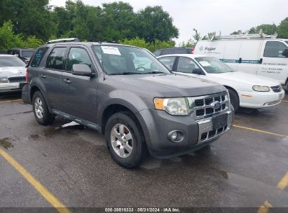 Lot #3035088453 2010 FORD ESCAPE LIMITED