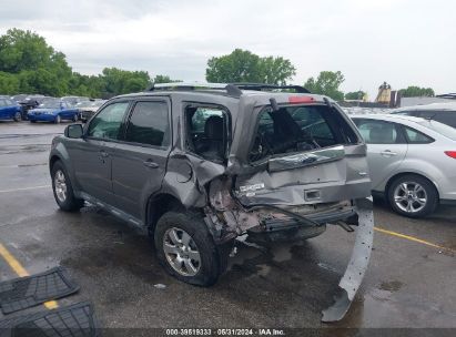 Lot #3035088453 2010 FORD ESCAPE LIMITED