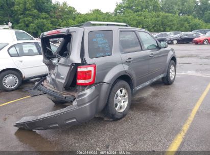 Lot #3035088453 2010 FORD ESCAPE LIMITED