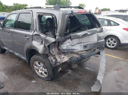 Lot #3035088453 2010 FORD ESCAPE LIMITED