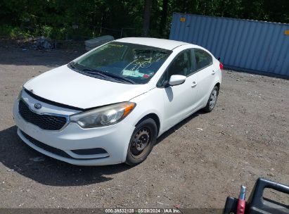 Lot #3052079594 2014 KIA FORTE LX