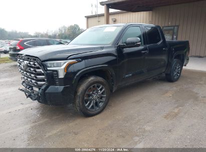 Lot #2992834053 2023 TOYOTA TUNDRA PLATINUM