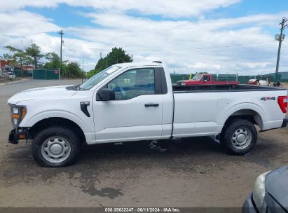 Lot #2992827931 2023 FORD F-150 XL