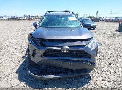 Lot #2992833493 2023 TOYOTA RAV4 XLE