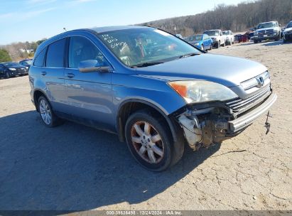 Lot #3042572576 2007 HONDA CR-V EX-L