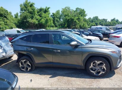 Lot #2990351660 2023 HYUNDAI TUCSON SEL