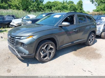 Lot #2990351660 2023 HYUNDAI TUCSON SEL