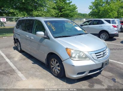 Lot #2992827920 2010 HONDA ODYSSEY EX-L