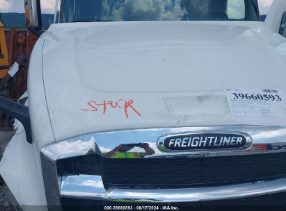 Lot #2992831328 2023 FREIGHTLINER NEW CASCADIA 126