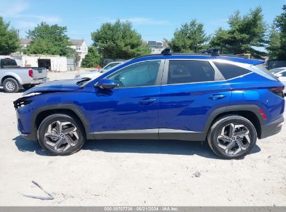 Lot #2997779601 2024 HYUNDAI TUCSON SEL