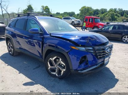 Lot #2997779601 2024 HYUNDAI TUCSON SEL