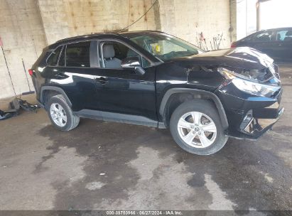 Lot #2997779575 2020 TOYOTA RAV4 XLE