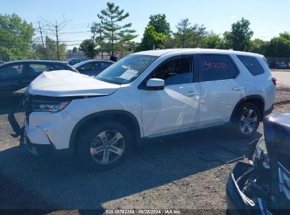 Lot #2992827881 2023 HONDA PILOT AWD EX-L 7 PASSENGER